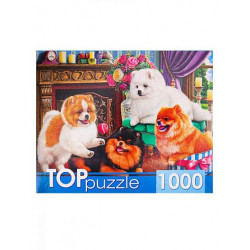 TOPpuzzle. ПАЗЛЫ 1000 элементов. ХТП1000-4145 Игривые шпицы