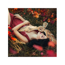 Алмаз. мозаика (класс.) 30х30см, с подр., с полн.заполн. (24цв)  В объятиях совы НД-1070